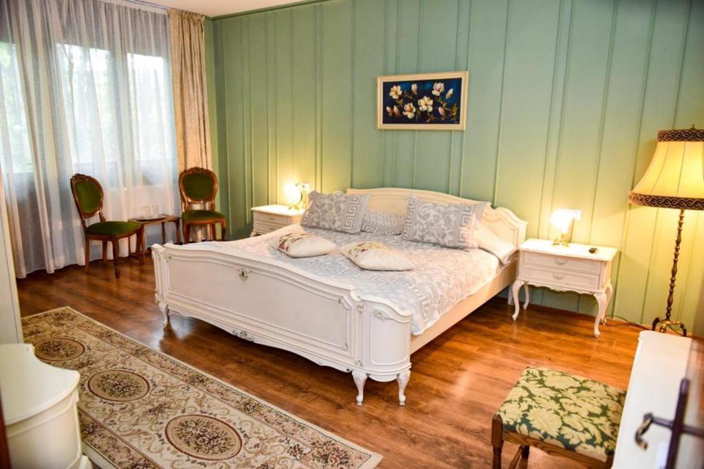 Former Ceausescu's Crizantema 2* Băile Govora